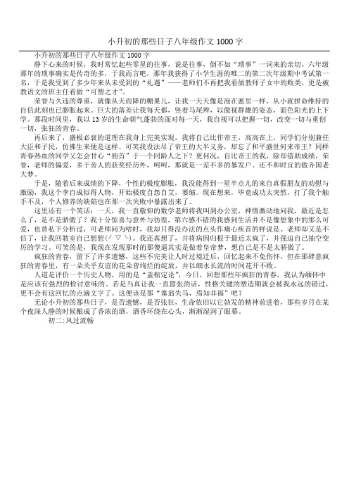 小升初的那些日子八年级作文1000字