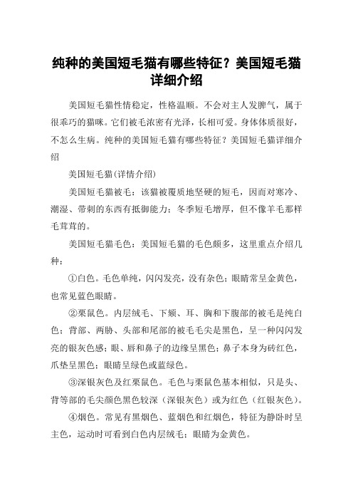 纯种的美国短毛猫有哪些特征？美国短毛猫详细介绍