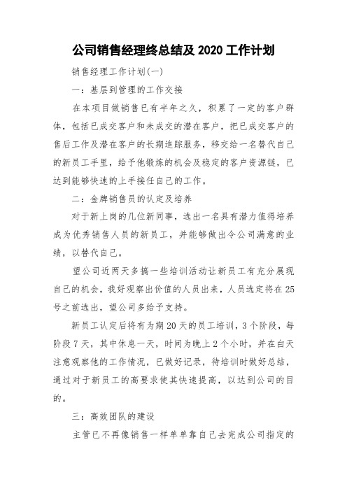 公司销售经理终总结及2020工作计划