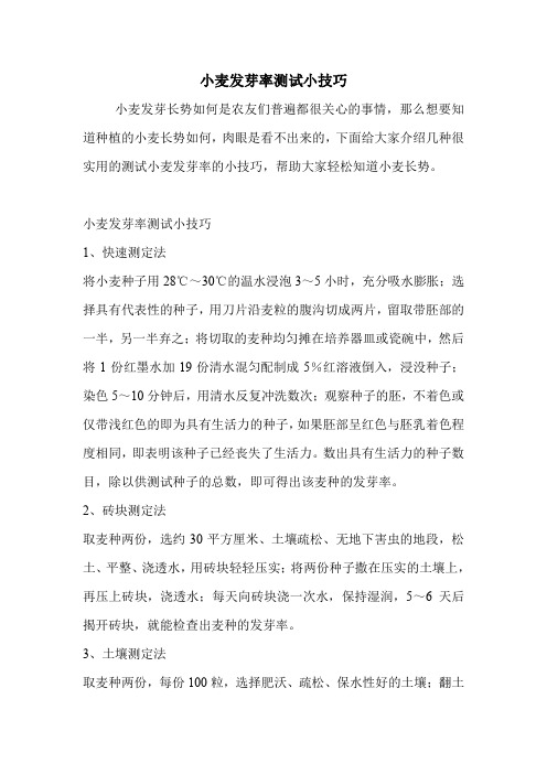 小麦发芽率测试小技巧.doc