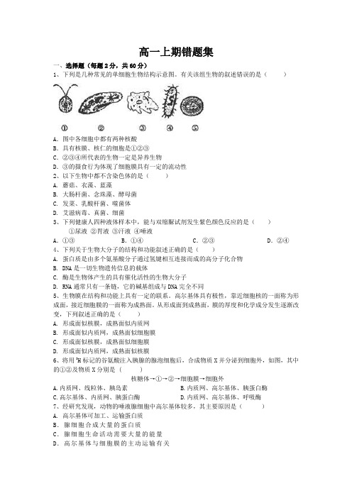 高一上期错题集