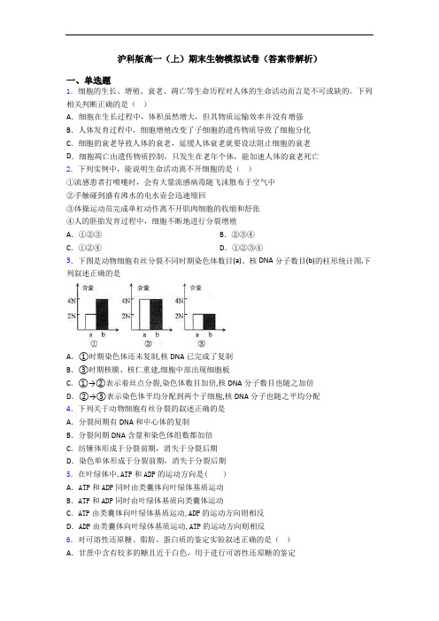 沪科版高一(上)期末生物模拟试卷(答案带解析)