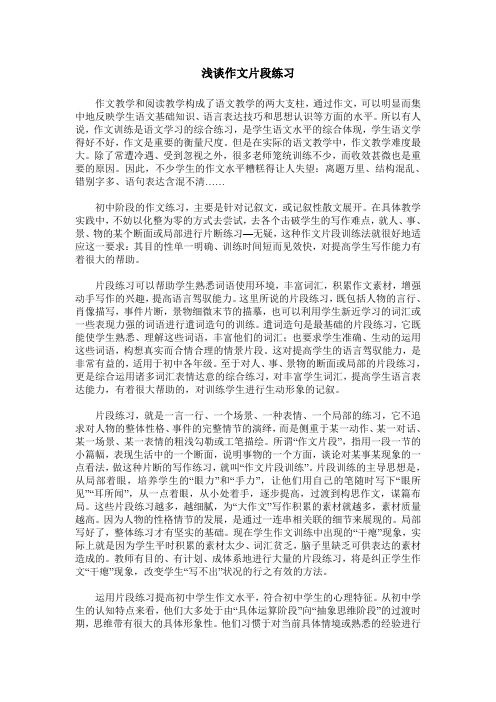 浅谈作文片段练习