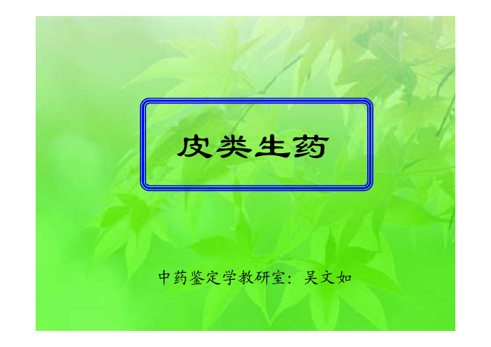 皮类生药