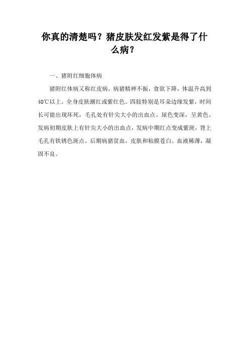 你真清楚吗？猪皮肤发红发紫是得了什么病？
