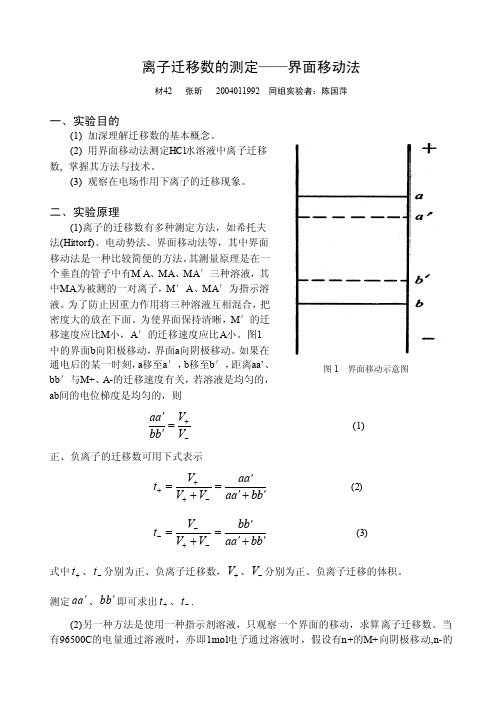 物化实验报告：离子迁移数的测定