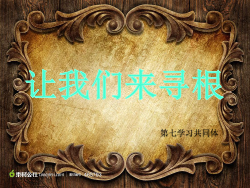 第11课让我们来寻根PPT