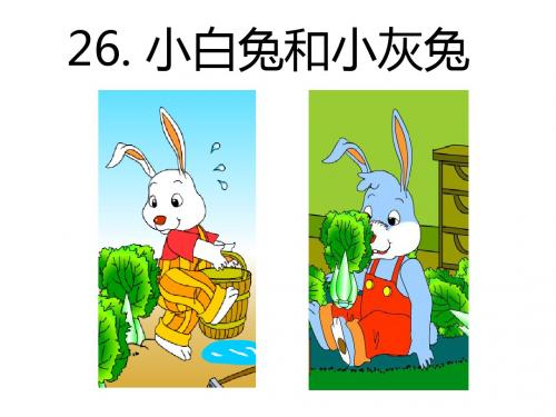 《小白兔和小灰兔》PPT课件