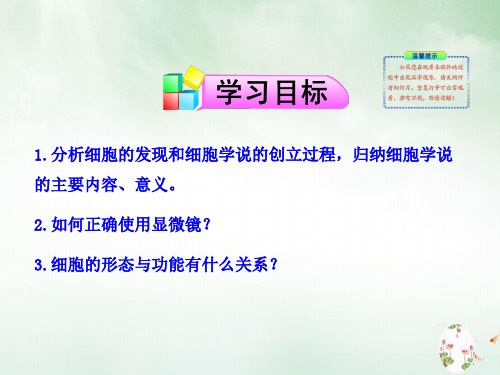 细胞的形态和大小显微镜的使用课件PPT