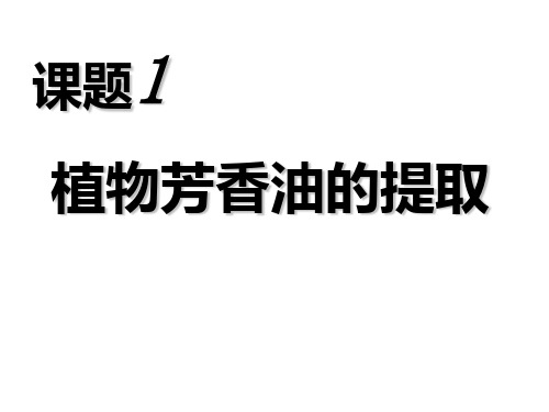 人教版选修一专题6课题1植物芳香油的提取(共36张PPT)