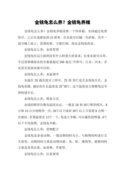 金钱龟怎么养？金钱龟养殖