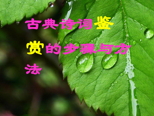 古诗词鉴赏的步骤和方法