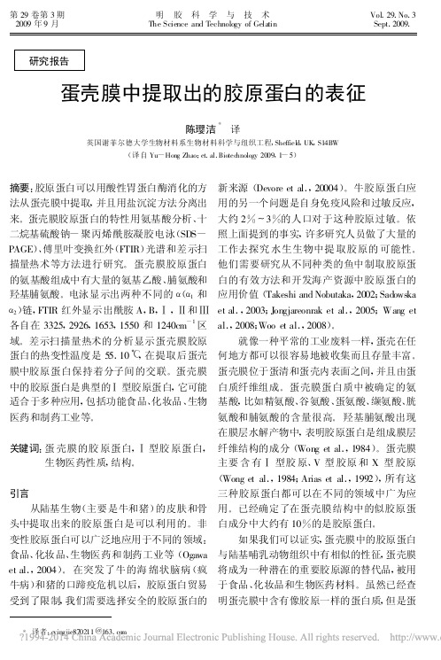 蛋壳膜中提取出的胶原蛋白的表征_陈璎洁