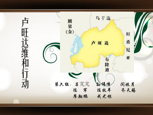 卢旺达维和案例分析