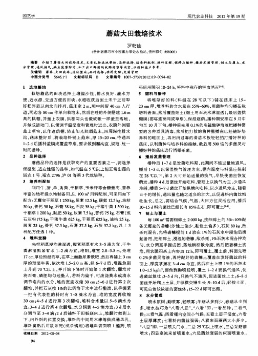 蘑菇大田栽培技术