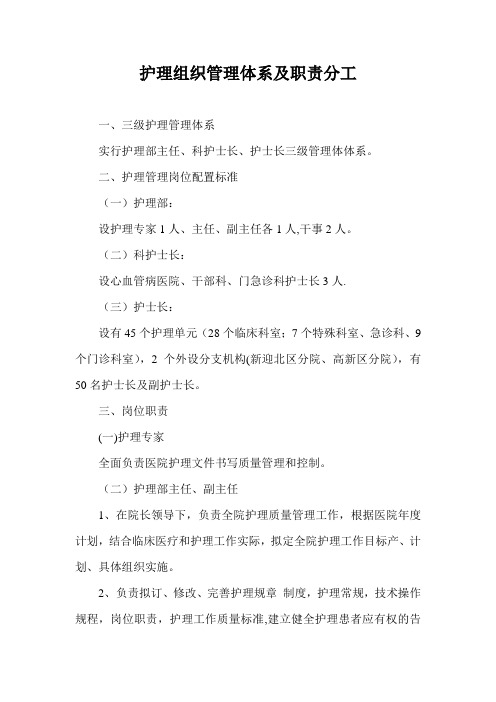 护理组织管理体系及职责分工