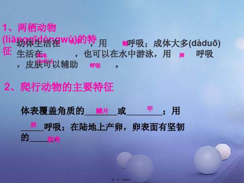 八年级生物上册第五单元第一章第六节《鸟》教学课件(新版)新人教版