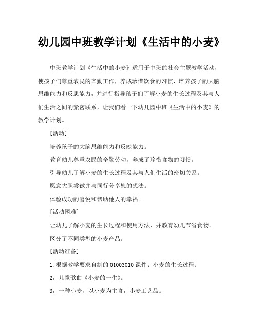 幼儿园中班教案《生活中的小麦》