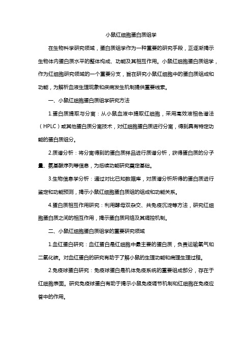 小鼠红细胞蛋白质组学