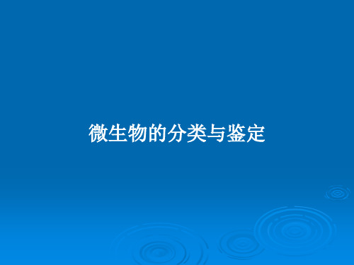 微生物的分类与鉴定PPT教案