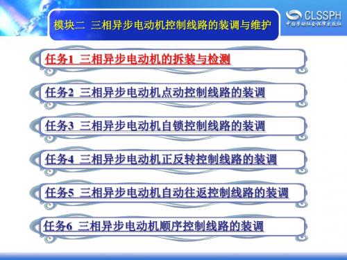 2019精品三相异步电动机的拆装与检测文档