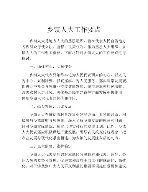乡镇人大工作要点