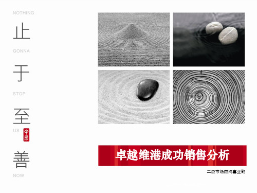 中原-深圳卓越维港成功销售分析