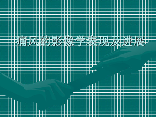 痛风影像学表现及进展