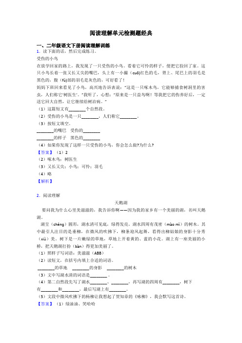 二年级阅读理解单元检测题经典