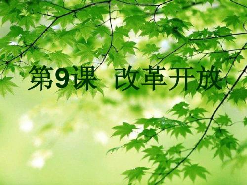 9改革开放