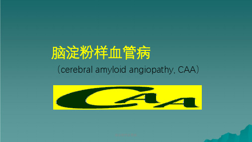 脑淀粉样血管病课件