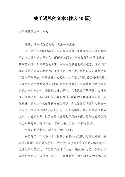 关于遇见的文章(精选10篇)