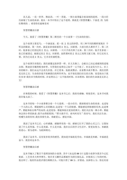 智慧背囊读后感400字作文5篇