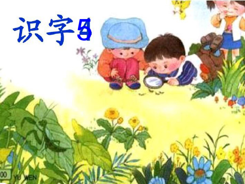 一年级上册语文课件识字5 观察 采集 昆虫｜苏教版() (共31张PPT)
