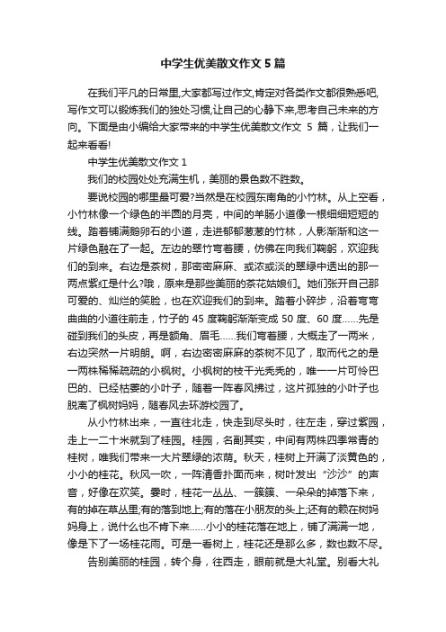 中学生优美散文作文5篇
