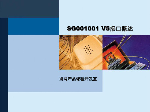 SG001001 V5接口概述