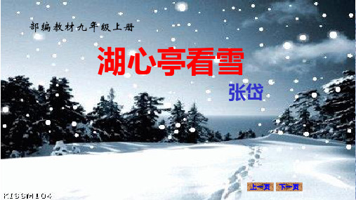 《湖心亭看雪》 初中九年级语文教学课件PPT 人教版