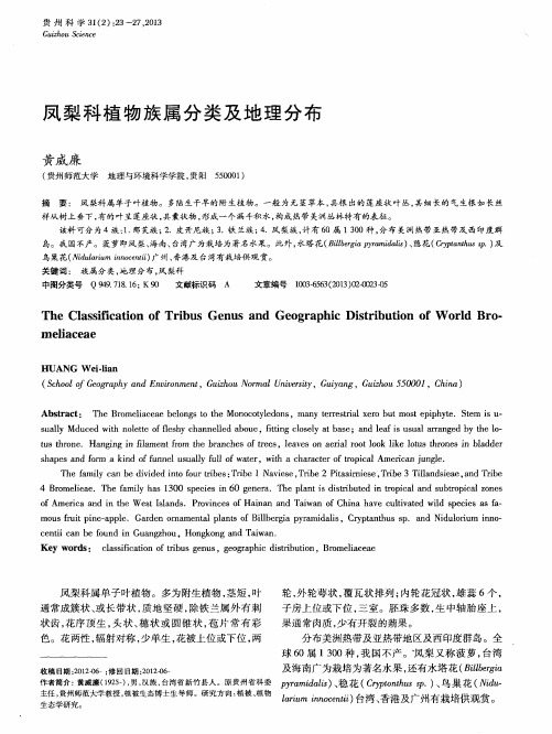 凤梨科植物族属分类及地理分布