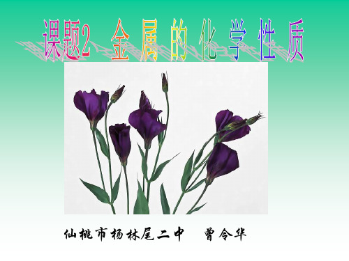 人教版九年级化学第八单元课题2金属的化学性质课件(2)
