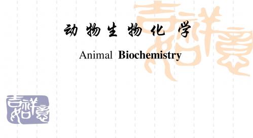 动物生物化学