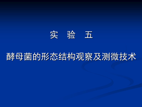 酵母菌的形态结构观察及测微技术.