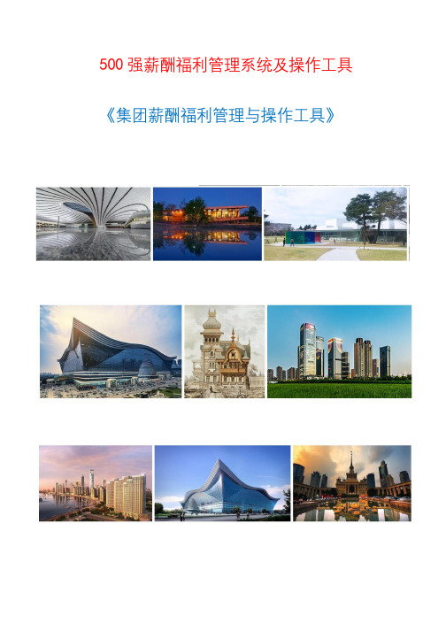 薪酬体系(之24)：500强薪酬福利管理系统及操作工具