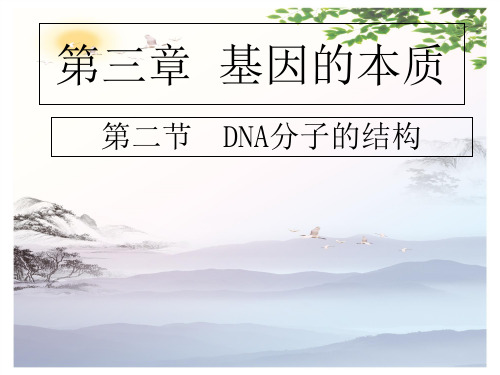 高中生物必修2第三章第二节-DNA分子的结构 (共14张PPT)[优秀课件][优秀课件]