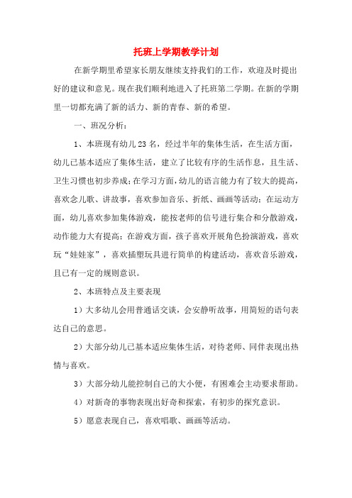 2020年托班上学期教学计划