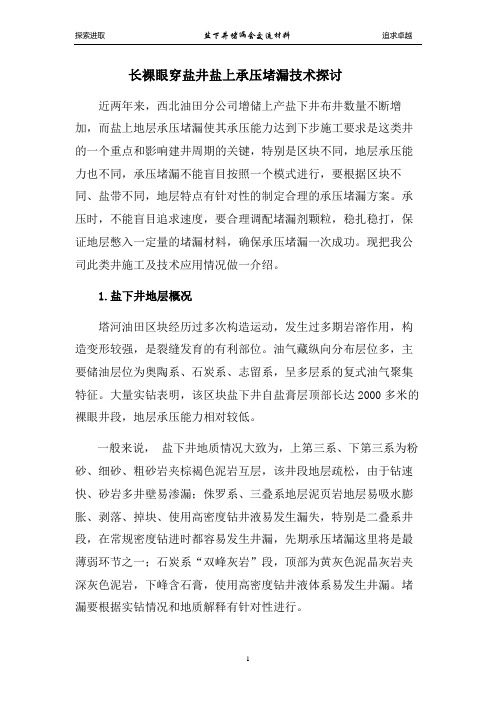 长裸眼穿盐井承压堵漏技术探讨