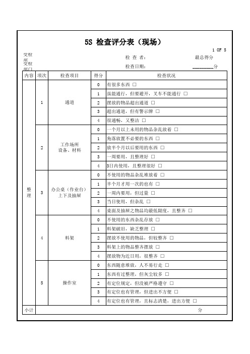5S 检查评分表(现场)