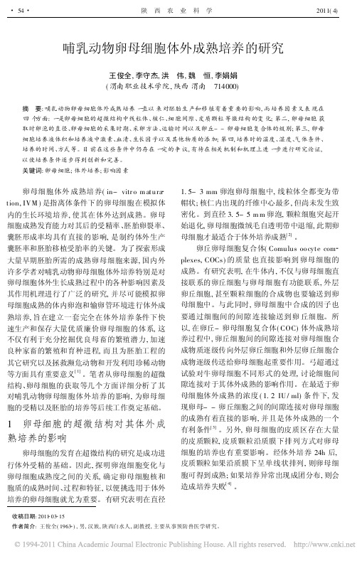哺乳动物卵母细胞体外成熟培养的研究_王俊全