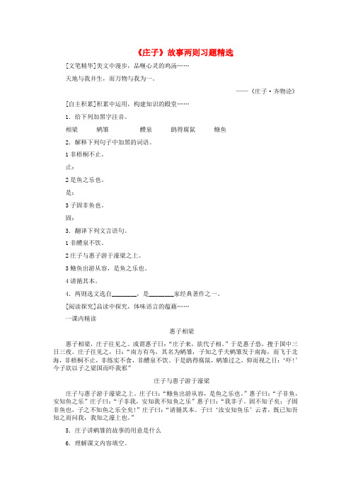 九年级语文下册 《庄子》故事两则习题精选 人教新课标版