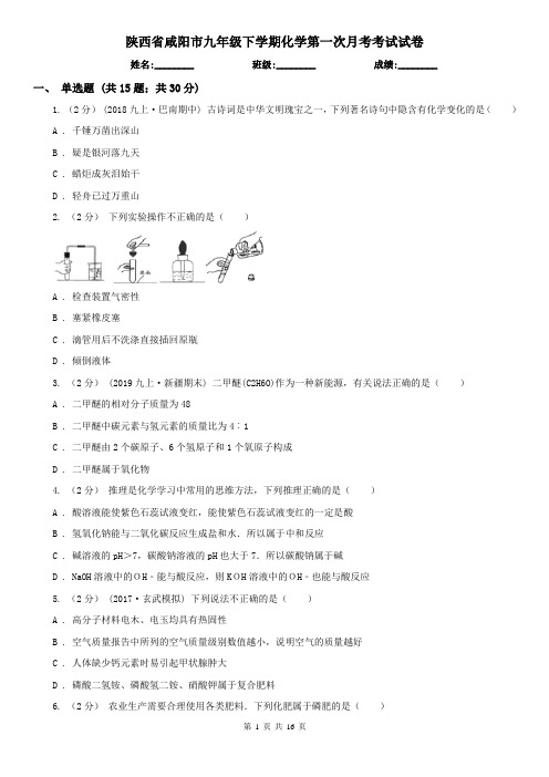 陕西省咸阳市九年级下学期化学第一次月考考试试卷