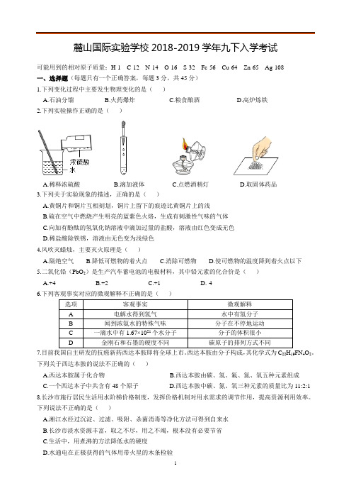 长沙麓山国际实验学校2018-2019学年九下入学考试化学试卷